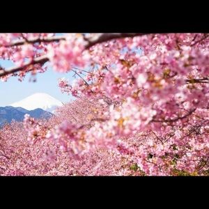 Meet your Posher, May